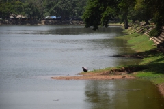 Ankor Wat - Cambodia - 2015 - Foto: Ole Holbech