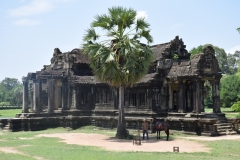 Ankor Wat - Cambodia - 2015 - Foto: Ole Holbech