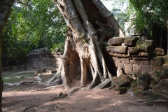 Ankor Wat - Cambodia - 2015 - Foto: Ole Holbech