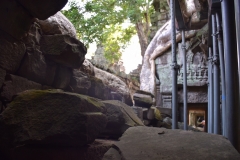 Ankor Wat - Cambodia - 2015 - Foto: Ole Holbech