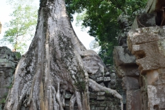 Ankor Wat - Cambodia - 2015 - Foto: Ole Holbech