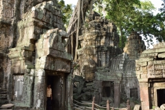 Ankor Wat - Cambodia - 2015 - Foto: Ole Holbech