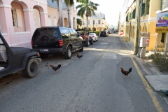 Christiansted - Saint Croix - US Virgin Islands - 2017 - Foto: Ole Holbech