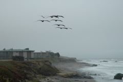 Hearst Castle – California – 2012 - Foto: Ole Holbech