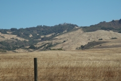 Hearst Castle – California – 2012 - Foto: Ole Holbech