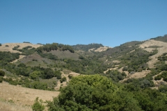 Hearst Castle – California – 2012 - Foto: Ole Holbech