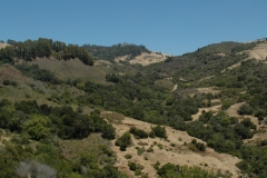 Hearst Castle – California – 2012 - Foto: Ole Holbech