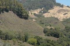 Hearst Castle – California – 2012 - Foto: Ole Holbech