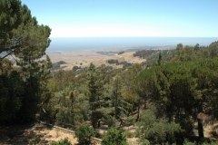 Hearst Castle – California – 2012 - Foto: Ole Holbech