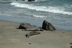 Hearst Castle – California – 2012 - Foto: Ole Holbech