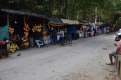 Kalapather Beach – Havelock Island – Andaman and Nicobar Islands - India – 2018 - Foto: Ole Holbech