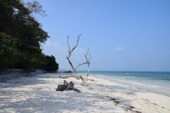 Kalapather Beach – Havelock Island – Andaman and Nicobar Islands - India – 2018 - Foto: Ole Holbech