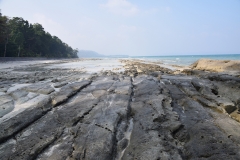 Kalapather Beach – Havelock Island – Andaman and Nicobar Islands - India – 2018 - Foto: Ole Holbech