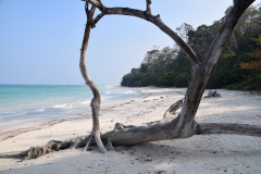 Kalapather Beach – Havelock Island – Andaman and Nicobar Islands - India – 2018 - Foto: Ole Holbech