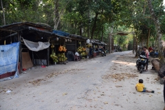 Kalapather Beach – Havelock Island – Andaman and Nicobar Islands - India – 2018 - Foto: Ole Holbech