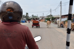 Siem Reap - Cambodia - 2015 - Foto: Ole Holbech