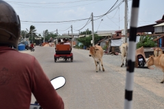 Siem Reap - Cambodia - 2015 - Foto: Ole Holbech