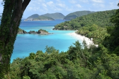 Cinnamon Bay - Saint John -  Sankt Jan -  US Virgin Islands - 2017 - Foto: Ole Holbech