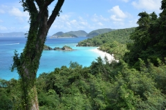 Cinnamon Bay - Saint John -  Sankt Jan -  US Virgin Islands - 2017 - Foto: Ole Holbech