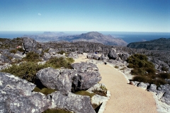 Table Mountain - South Africa - 2001 - Foto: Ole Holbech